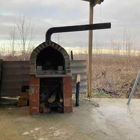 Dag Evi Halic