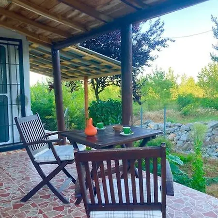Dag Evi
